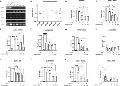 Alpha-7 Nicotinic Receptor Dampens Murine Osteoblastic Response to Inflammation and Age-Related Osteoarthritis